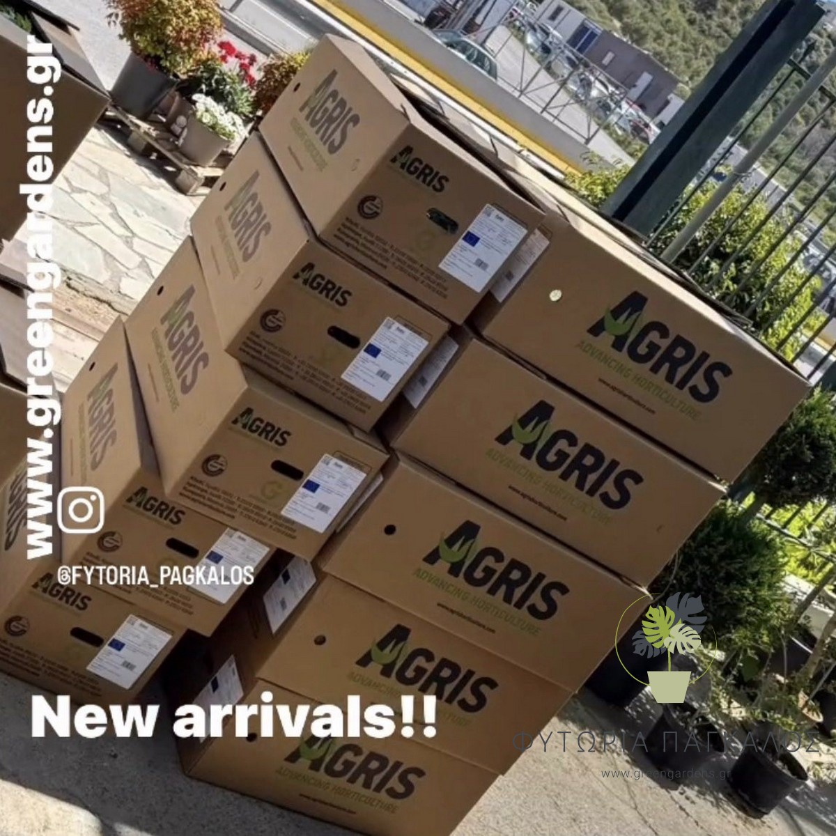 🌱 ΚΗΠΕΥΤΙΚΑ ΦΥΤΑ | Φυτώριο Online – Ντομάτες, Πιπεριές, Λαχανικά - 3